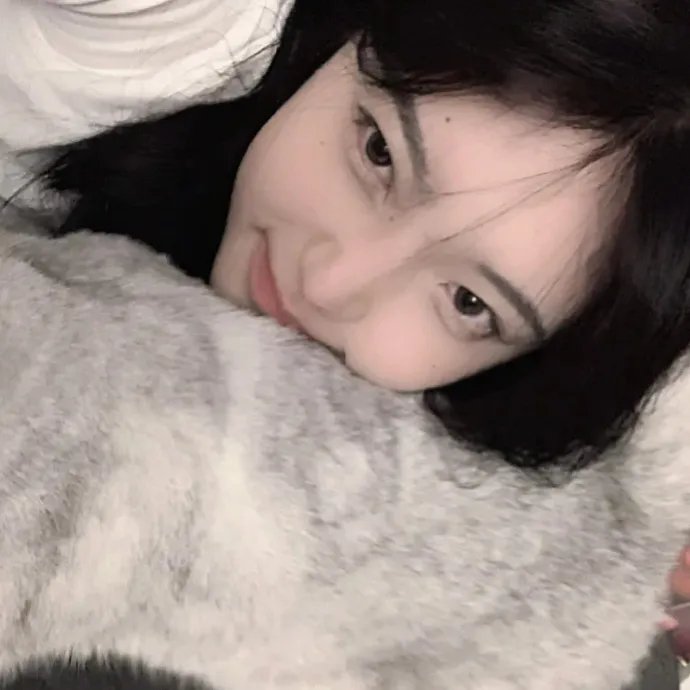 与鲨共游